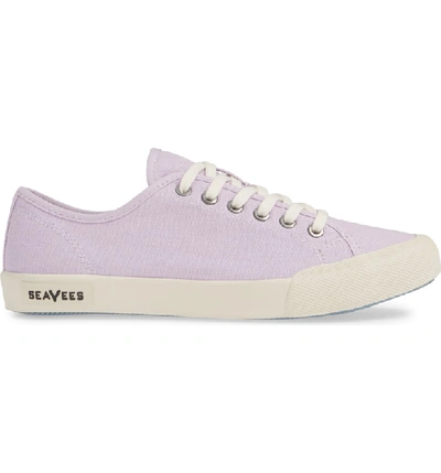 Shop Seavees '06/67 Monterey' Sneaker In Lilac