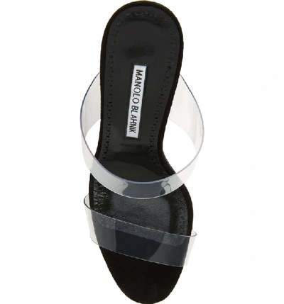 Shop Manolo Blahnik Scolto Transparent Strap Sandal In Black Suede