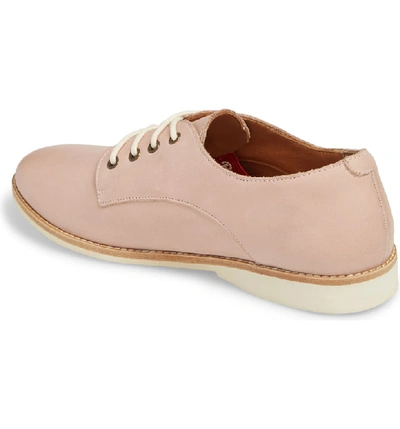 Shop Rollie Derby Oxford In Snow Pink Leather