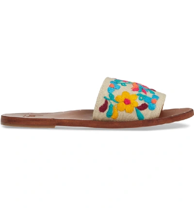 Shop Beek Lovebird Embroidered Slide Sandal In Multi-color Embroidery