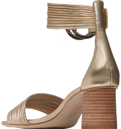 Shop Paige Ankle Strap Sandal In Gold