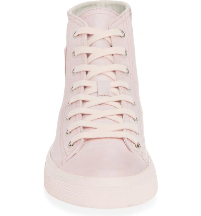 Shop Saint Laurent Bedford Emblem High Top Sneaker In Rose Pastel