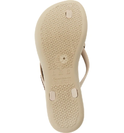 Ipanema Wave Heart Flip Flop In Beige/ Bronze