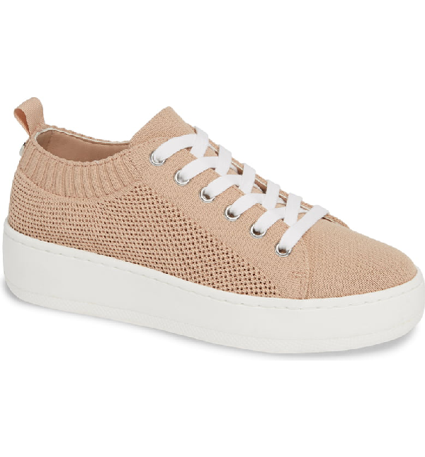 blush steve madden sneakers