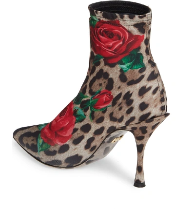 Shop Dolce & Gabbana Rose & Leopard Sock Bootie In Leopard/ Rose