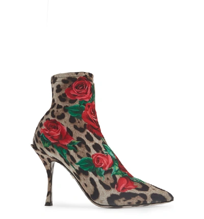 Shop Dolce & Gabbana Rose & Leopard Sock Bootie In Leopard/ Rose