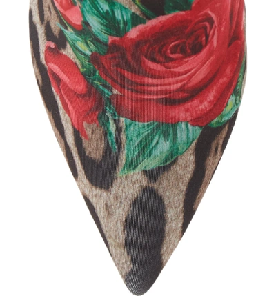 Shop Dolce & Gabbana Rose & Leopard Sock Bootie In Leopard/ Rose