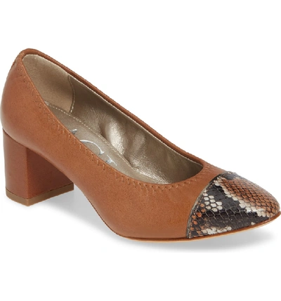 Shop Agl Attilio Giusti Leombruni Cap Toe Pump In Brandy