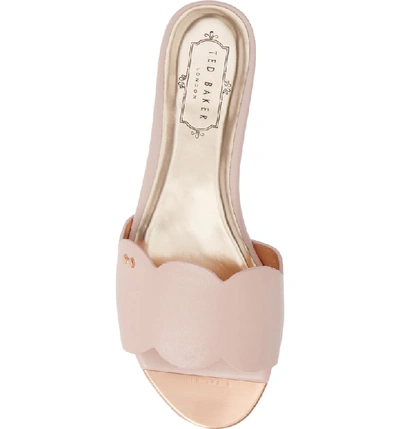 Shop Ted Baker Rhaill Slide Sandal In Pink Leather