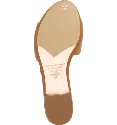 Shop Ted Baker Rhaill Slide Sandal In Tan Leather