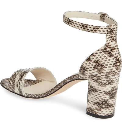 Shop Manolo Blahnik Laurato Genuine Snakeskin Sandal In Roccia Snake