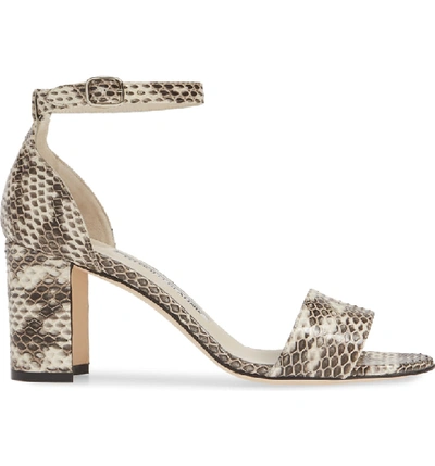 Shop Manolo Blahnik Laurato Genuine Snakeskin Sandal In Roccia Snake