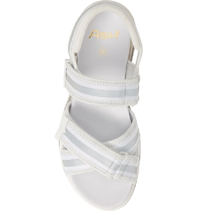 Shop Ash Lewis Sandal In White/ Silver/ White