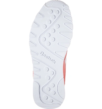 Shop Reebok Classic Nylon Sneaker In Bright Rose/ White