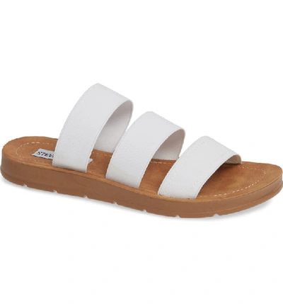 Shop Steve Madden Pascale Slide Sandal In White