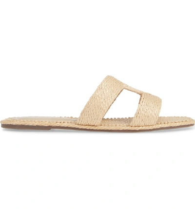 Shop Schutz Tammya Slide Sandal In Palha