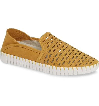 Shop Nic + Zoe Janelle Perforated Slip-on In Mustard Perf Nubuck