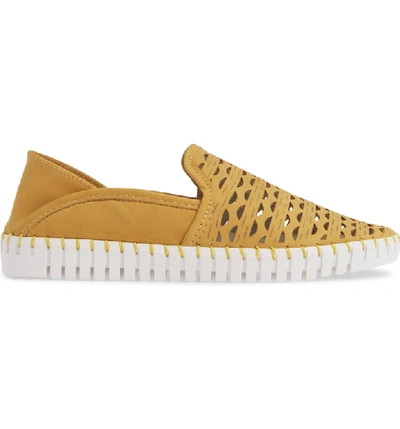 Shop Nic + Zoe Janelle Perforated Slip-on In Mustard Perf Nubuck