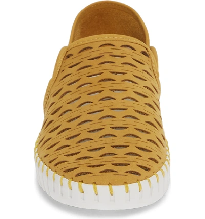 Shop Nic + Zoe Janelle Perforated Slip-on In Mustard Perf Nubuck