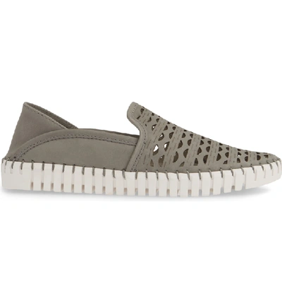 Shop Nic + Zoe Janelle Perforated Slip-on In Grey Nubuck Leather