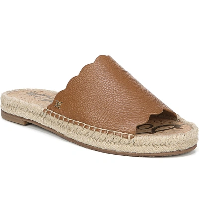 Shop Sam Edelman Andy Slide Sandal In Saddle Brown