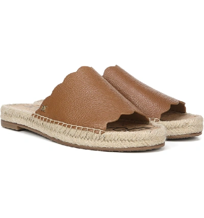 Shop Sam Edelman Andy Slide Sandal In Saddle Brown