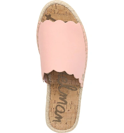 Shop Sam Edelman Andy Slide Sandal In Peach Sorbet