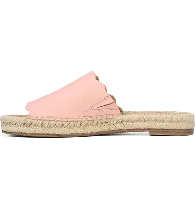 Shop Sam Edelman Andy Slide Sandal In Peach Sorbet