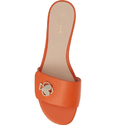 Shop Kate Spade Ferry Slide Sandal In Juicy Orange