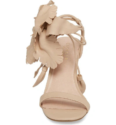 Shop Cecelia New York Hibiscus Sandal In Nude Leather