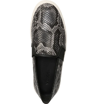 Shop Vince Blair 5 Slip-on Sneaker In Granite Snake Print