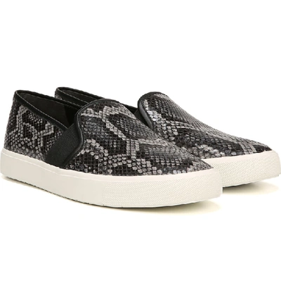 Shop Vince Blair 5 Slip-on Sneaker In Granite Snake Print