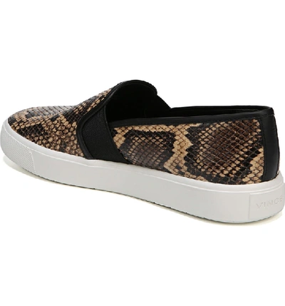 Shop Vince Blair 5 Slip-on Sneaker In Senegal Snake Print