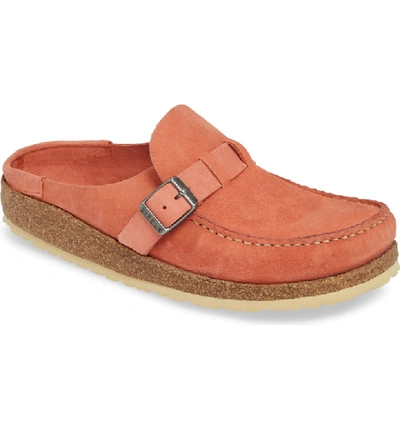 Shop Birkenstock Buckley Clog In Coral Suede