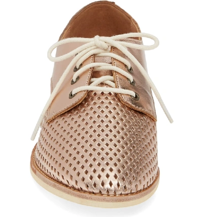 Shop Rollie Sidecut Punch Perforated Derby In Rose Gold Leather
