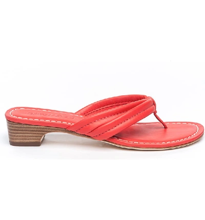 Shop Bernardo Miami Sandal In Tomato Antique Leather