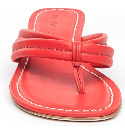 Shop Bernardo Miami Sandal In Tomato Antique Leather