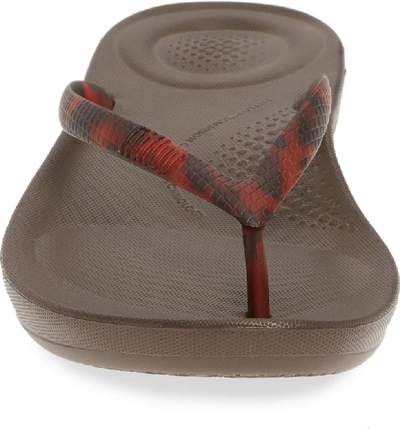 Shop Fitflop Iqushion Flip Flop In Chocolate Brown Turtle
