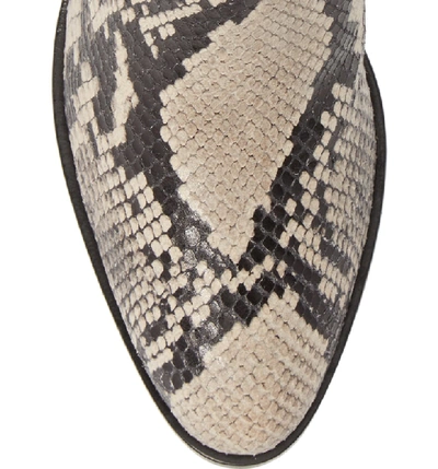 Shop Rag & Bone 'walker' Bootie In Snake Print Leather