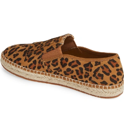 Shop Ariat Joy Kiltie Slip-on Sneaker In Leopard Suede