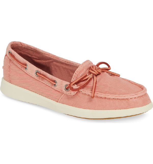 sperry oasis canal canvas boat shoe
