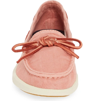 asics gel contend 5 size 10