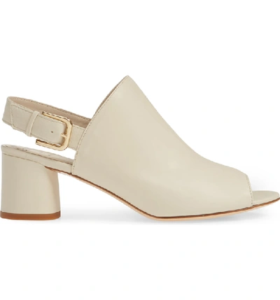 Shop Amalfi By Rangoni Iago Sandal In Foam Leather