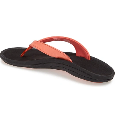 Shop Olukai 'kulapa Kai' Thong Sandal In Coral/ Black