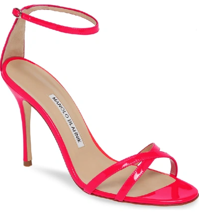 Shop Manolo Blahnik Paloma Neon Ankle Strap Sandal In Pink Fluo