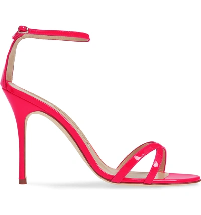 Shop Manolo Blahnik Paloma Neon Ankle Strap Sandal In Pink Fluo