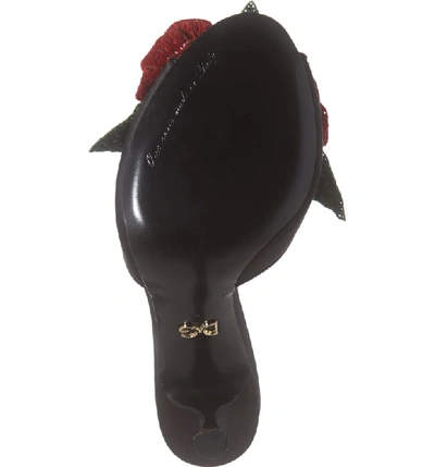 Shop Dolce & Gabbana Floral Applique Sandal In Black