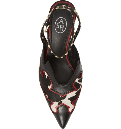 Shop Ash Charlize Slingback Pump In Pony Mucca Black/ White/ Red