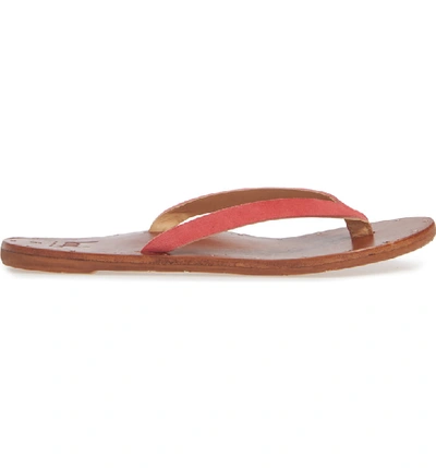 Shop Beek Seabird Flip Flop In Geranium/ Tan