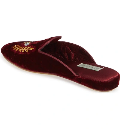 Shop Patricia Green 'cool Kat' Embroidered Slipper In Burgandy Velvet
